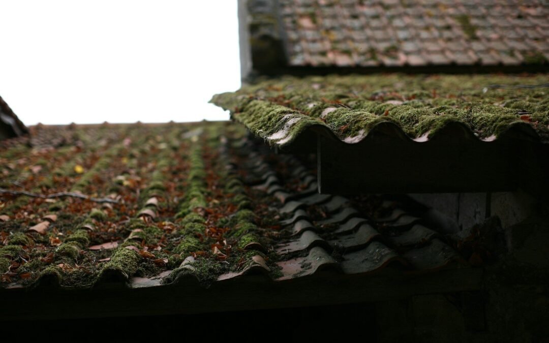 Quand refaire entièrement sa Zinguerie à Amiens (80) ?