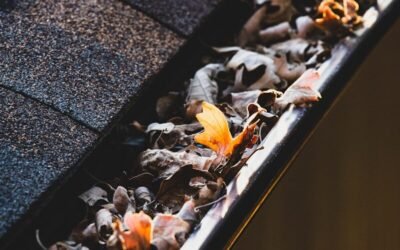 Pose de chéneau à Amiens (80) : Quels sont les matériaux les plus résistants ?