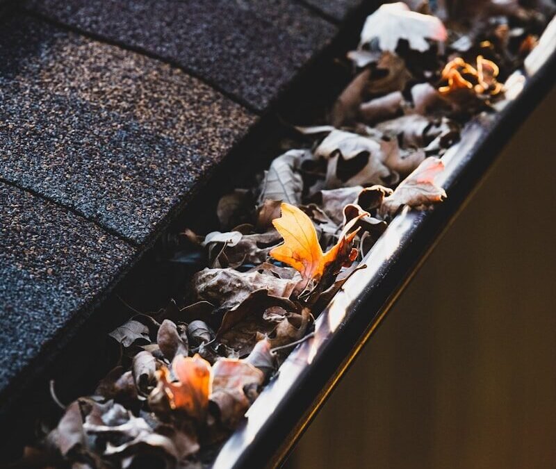 Pose de chéneau à Amiens (80) : Quels sont les matériaux les plus résistants ?