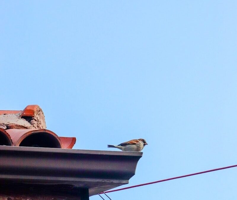 Pourquoi faire appel à un couvreur pour la pose de chéneau à Amiens (80) ?