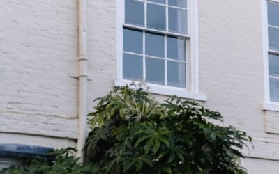 Ravalement de façade à Amiens (80) : Comment se déroule le traitement ?